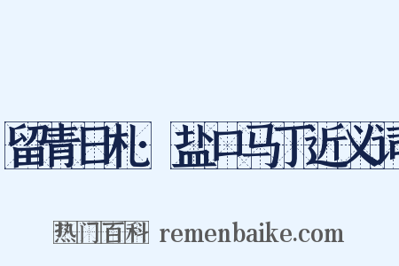 留青日札·盐口马丁近义词是什么意思的图片